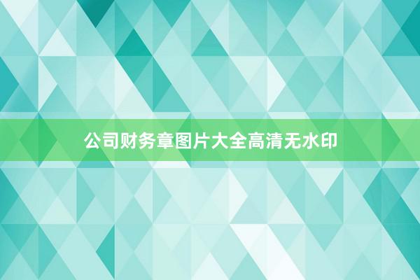 公司财务章图片大全高清无水印
