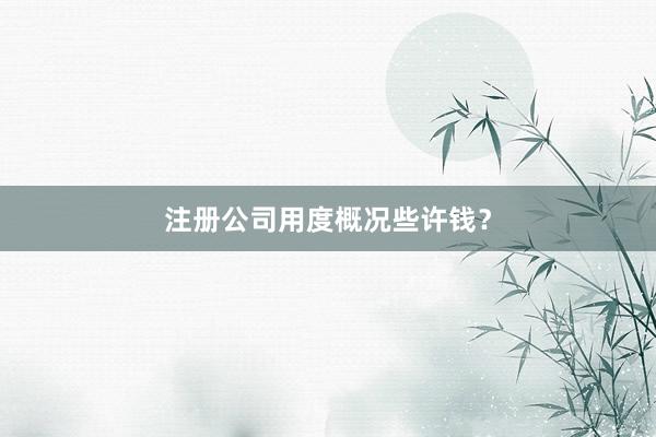 注册公司用度概况些许钱？
