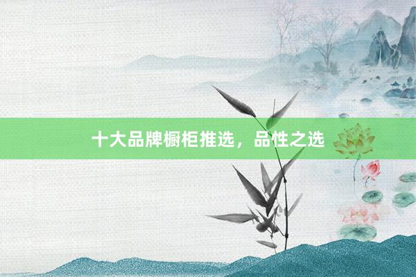 十大品牌橱柜推选，品性之选